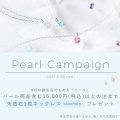 パールキャンペーン